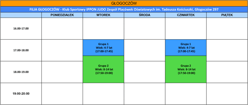 judo dla dzieci Kraków Głogoczów