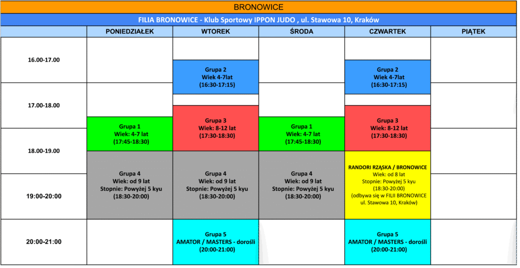 judo dla dzieci Kraków stawowa